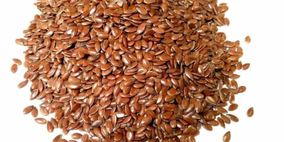 The DARI NEBES s.r.l company has flax for sale