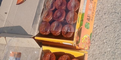 Dried Natural Apricot Packing box 5 kg / 1