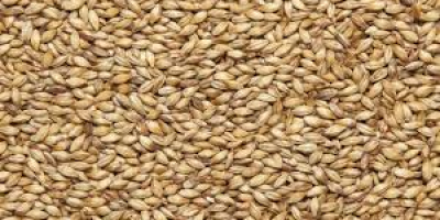 The Ukrainian company sells malting barley in the amount