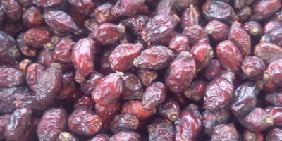 rosehip dried export from Uzbekistan packing bag and box