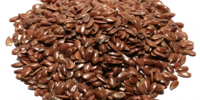 Sale of brown Ukrainian flax.We have 200 tons of