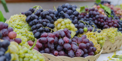 fresh grapes all type export from Uzbekistan with fly