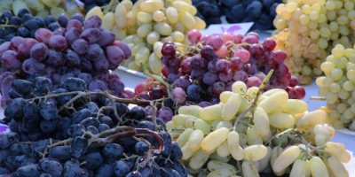 fresh grapes all type export from Uzbekistan with fly