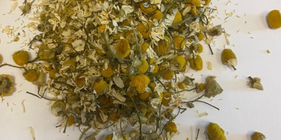 We offer for sale a dried chamomile basket. 15