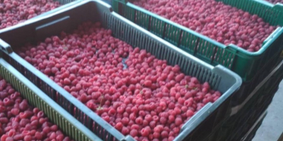 I am selling frozen raspberries as seen in the