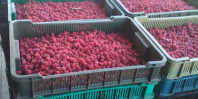 I am selling frozen raspberries as seen in the