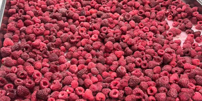 I have an unlimited amount of frozen raspberries for