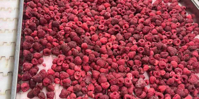 I have an unlimited amount of frozen raspberries for