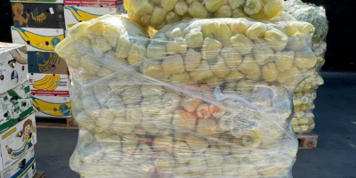 ❗️Vindem legume proaspete românești en-gros! ❗️We sell fresh romanian