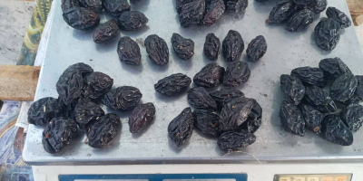 dried plums fruits / prune / plum export from