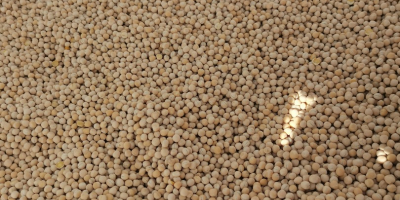 Cleaned peas Astronaute variety. Hay from Qualifikat available 10