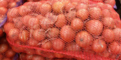 We sell onions for export from Ukraine. We provide