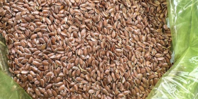 We offer flaxseed: - moisture 8% - oil content