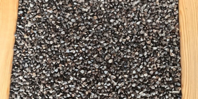 Dried buckwheat, sifted Moisture: 13.2% Contamination: 3% Price: PLN