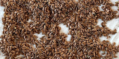 Brown linseed Brown flax, oily Moisture: 6.4% Contamination: 1.8%