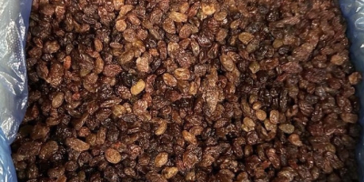 Raisins ABJUSH HURT Uzbekistan. We are a direct importer.