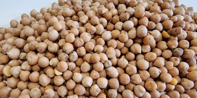 We have chickpeas for sale, please contact me [phone]