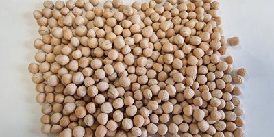 We have yellow peas for sale. Please contact us