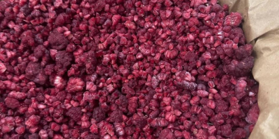 The Slovak company sells frozen raspberries gris (crumble) from