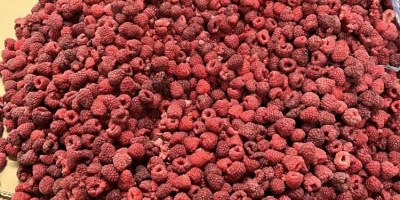 We offer you frozen raspberries 80/20 for sale. Raspberries