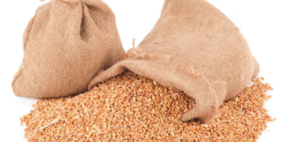 BGS Trading Ltd - Grain and Cereal Export Offer