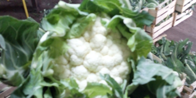 I am selling cauliflower loose or in strips, I