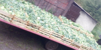 I am selling cauliflower loose or in strips, I