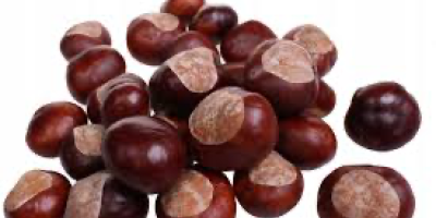 I am organizing a chestnut collection campaign with my