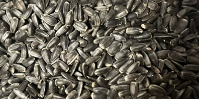 Hungarian sunflower seed with bio, biosuisse, demeter qualification is