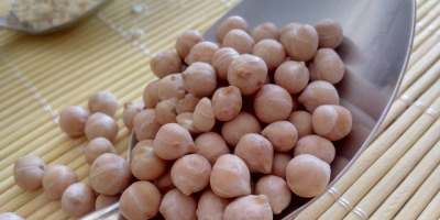 Chickpeas, 2024, sizes 6 and 7 mm in bags