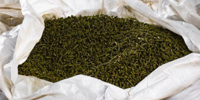 Granulated alfalfa – High Quality, Available Immediately! We offer