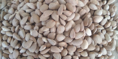 The SAG Gardens company offers Spanish almonds of the