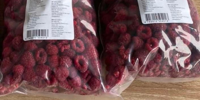 We offer high-quality frozen raspberries, harvested from environmentally clean