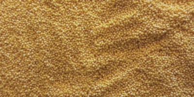 We sell premium grade millet groats, packaged in 25