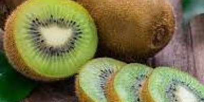 Aus Italien importierte Qualitätskiwi direkt vom Erzeuger. GELBE Kiwi,