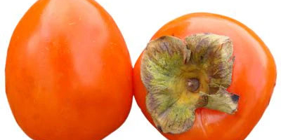  100% natural persimmons produced in Azerbaijan! We can