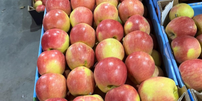 We sell apples of different varieties at different prices.