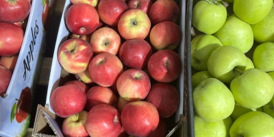 We sell apples of different varieties at different prices.