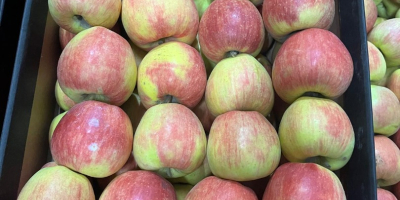 We sell apples of different varieties at different prices.