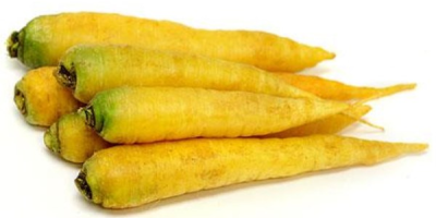 Yellow carrots for sale. Packed in a 10 kg