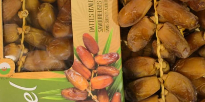 Hello, we are a company that exports dates from