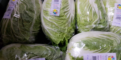 The Polish company MM TRADE CONSULTING offers cabbage from