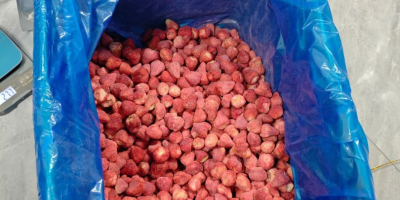 Gefriergetrocknete Früchte, Erdbeeren – 16 $/kg. Weltweiter Export aller