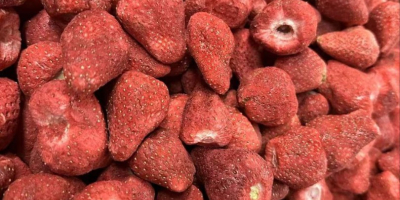 Gefriergetrocknete Früchte, Erdbeeren – 16 $/kg. Weltweiter Export aller