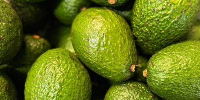 Vând un amestec de avocado Hass din Columbia în