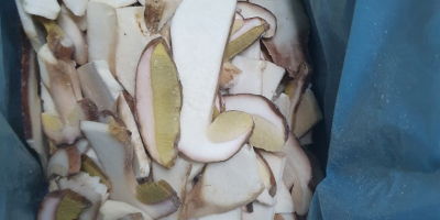 Sliced boletus edulis, top quality
