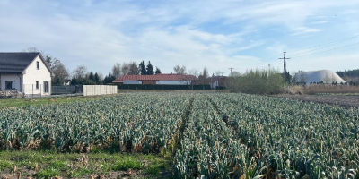 Stagione invernale – 100% ecologica! Sono in offerta le
