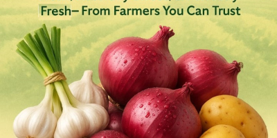 Fresh Yellow onions - New season Now Available, Crisp