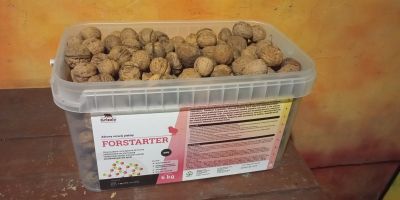 Bio diót héjában árulok, a képen látható mennyiségben, 4