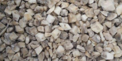 Vendo funghi congelati a fette, a cubetti o in